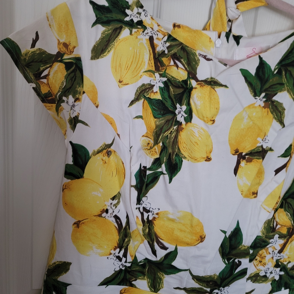 1950s Rockabilly Inspired Plus Size Dress with Vibrant Lemon Print - Picture 3 of 6